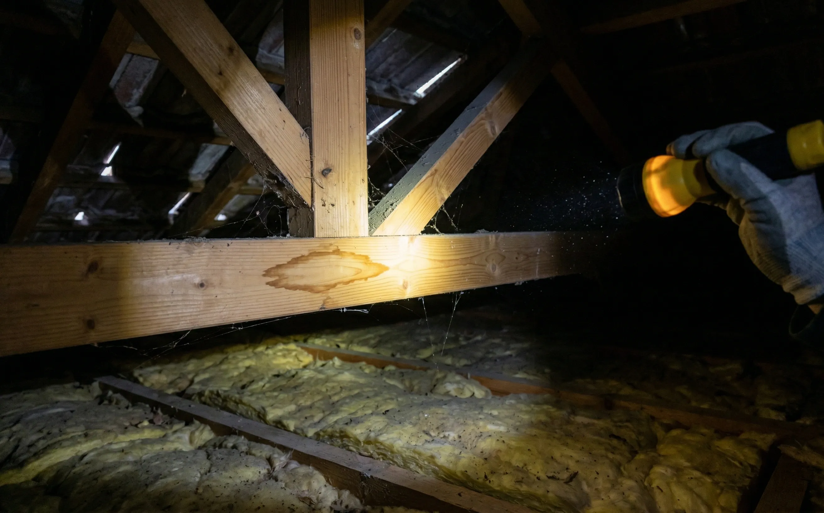 Intérieur de combles sombres éclairés par une lampe torche, tache brune visible sur un liteau de fermette en pin, poussière en suspension