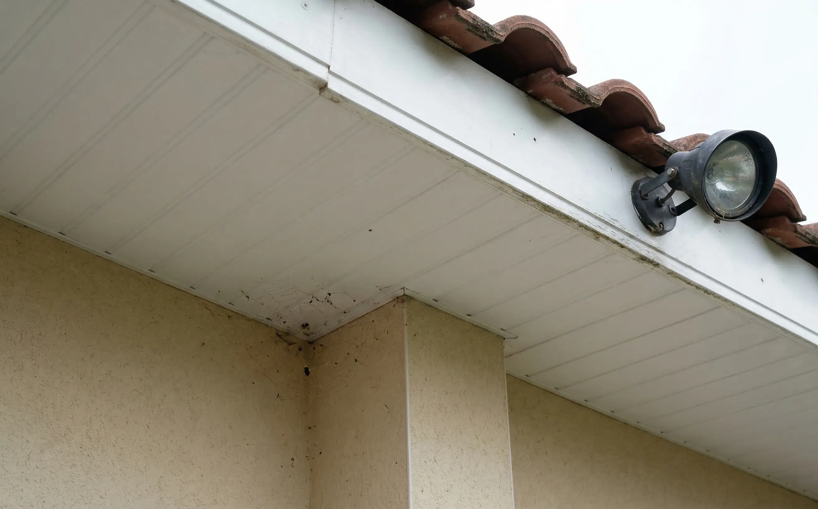 Détail d'un débord de toit vu depuis le dessous montrant la sous-face PVC et le bandeau de rive