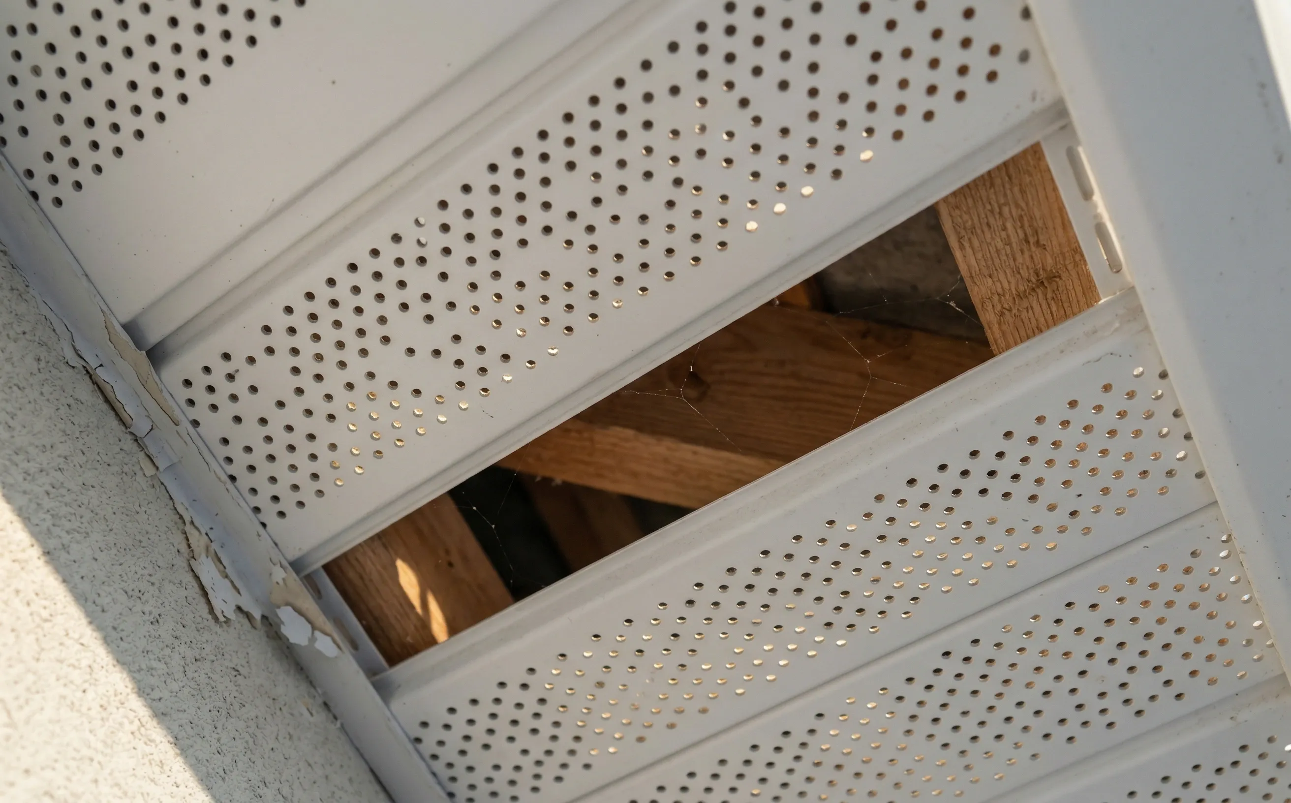 Gros plan en contre-plongée sur des lames de sous-face perforées, micro-trous traversés par la lumière et charpente en pin visible à travers les aérations