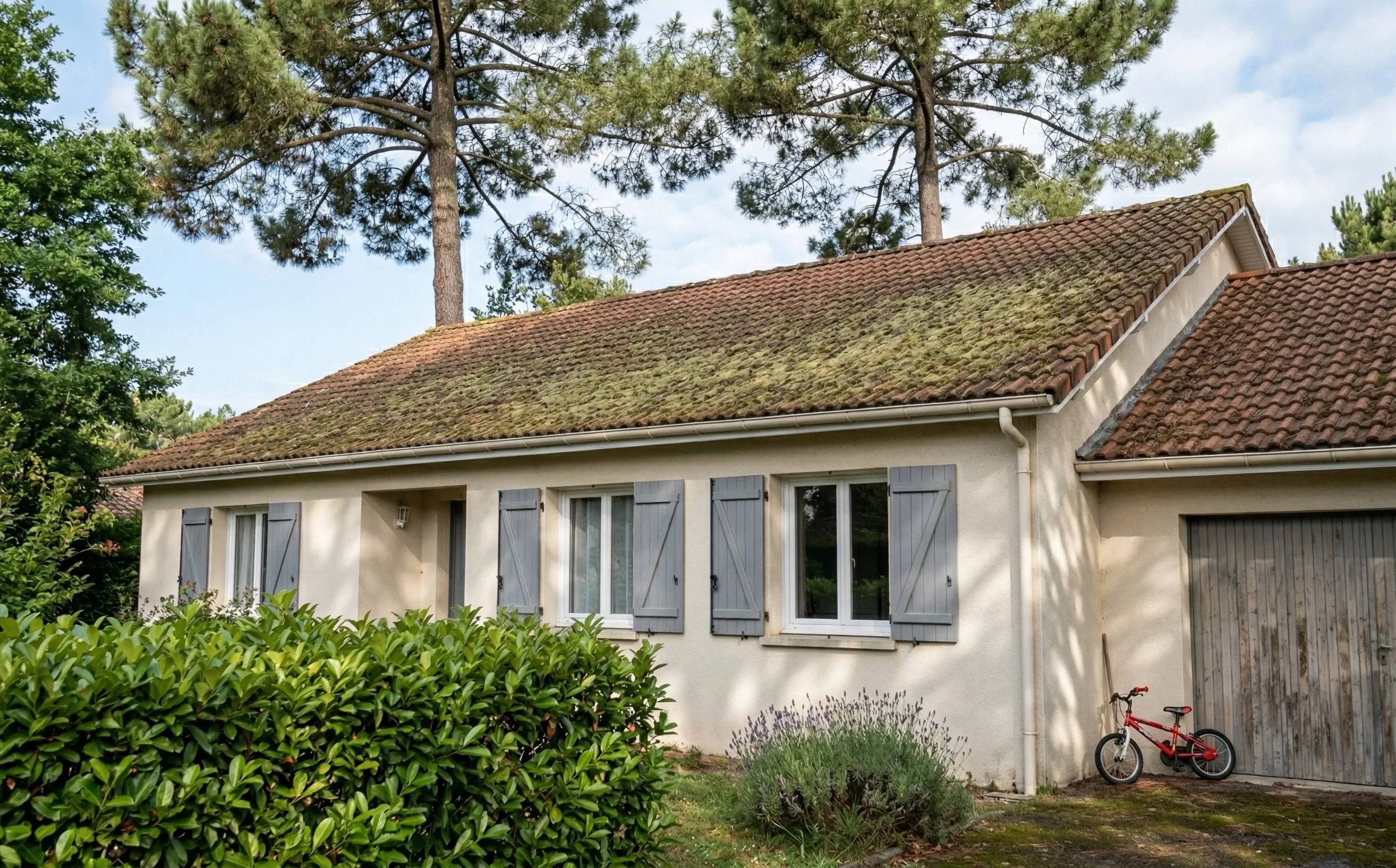 Pavillon girondin années 80 avec toiture en tuiles mécaniques, versant nord verdâtre couvert de mousse fine, pins maritimes en arrière-plan