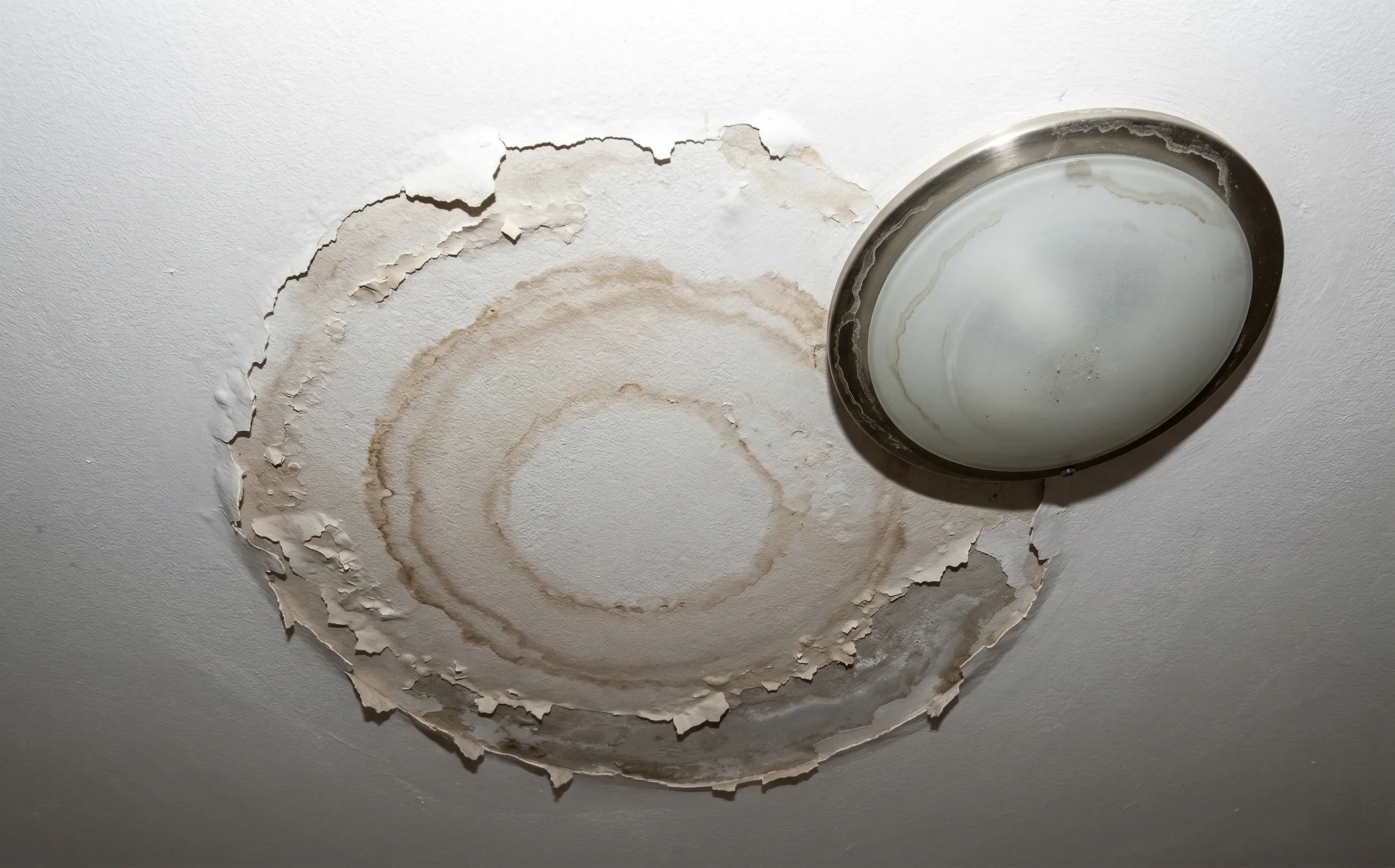 Gros plan sur un plafond avec tache d'humidité brunâtre et peinture cloquée