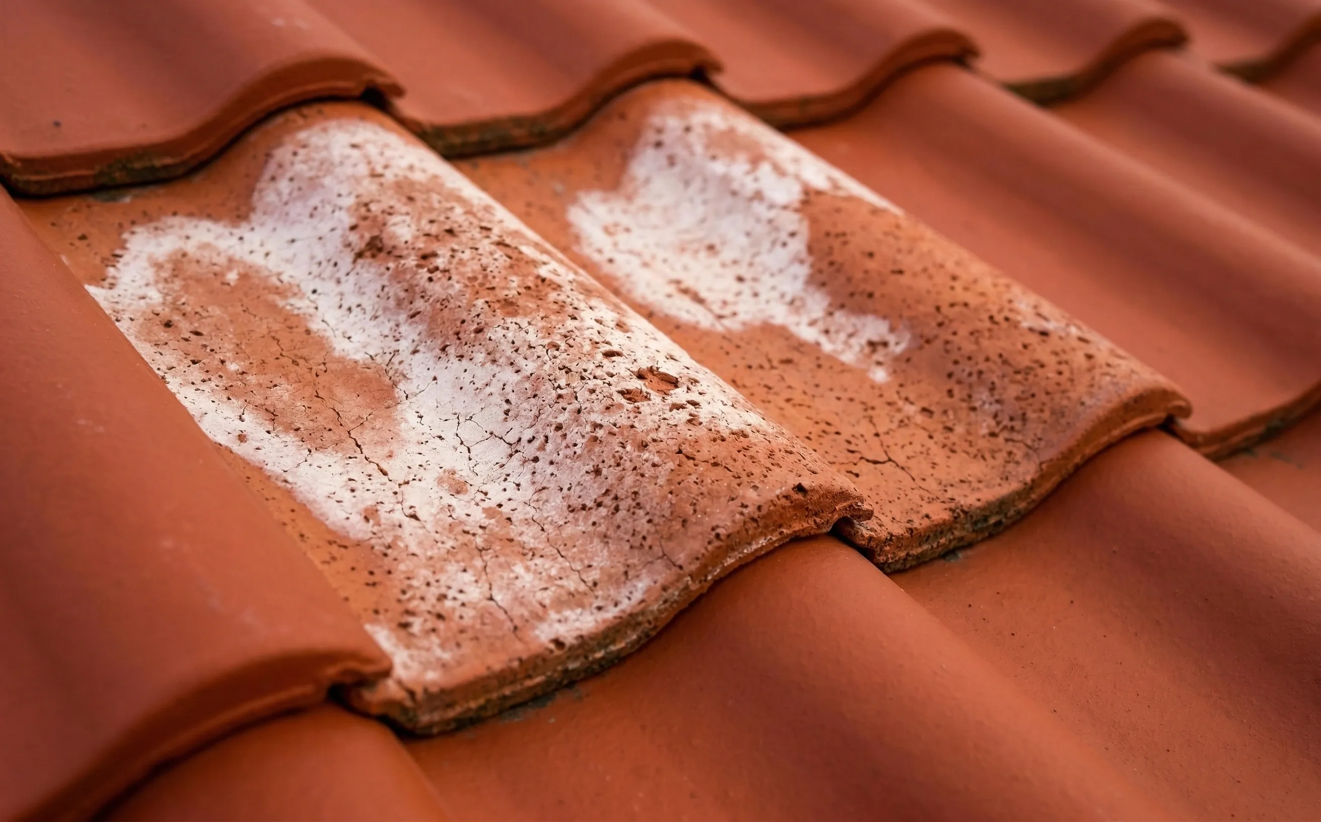 Tuiles mécaniques terre cuite décolorées et blanchâtres après un traitement à la javel, surface poreuse contrastant avec les tuiles non traitées rouge-orange